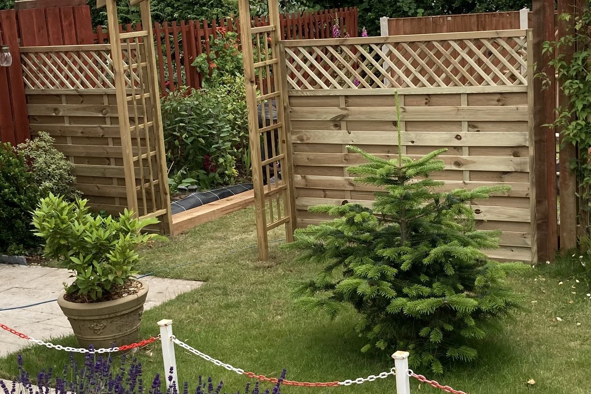 Garden with trellis, arbour and planting