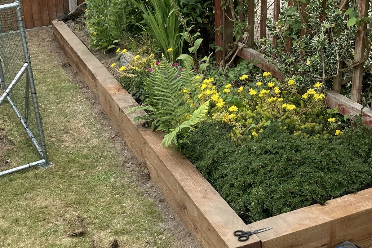 New raised bed and planted border